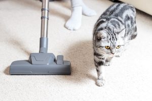 Read more about the article Why Wait For Spring Cleaning?