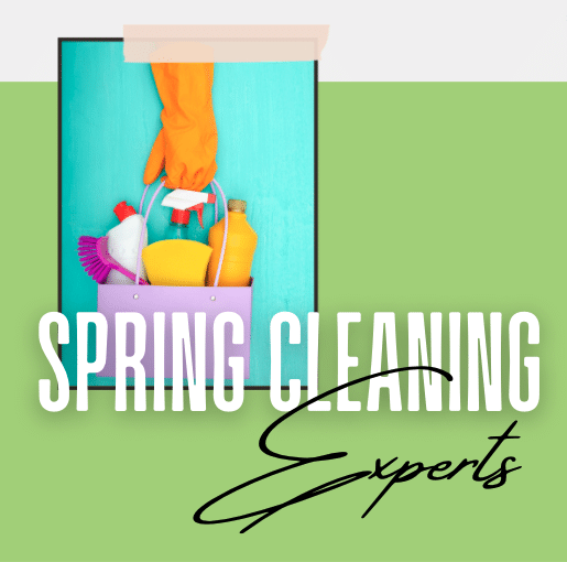 Read more about the article Spring Cleaning Experts