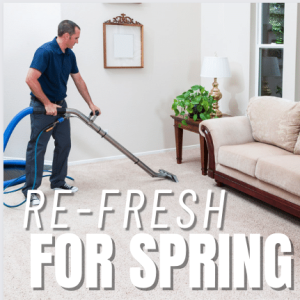 Read more about the article Re-Fresh for Spring