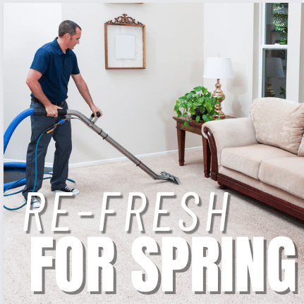 Read more about the article Re-Fresh for Spring