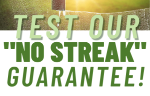 Read more about the article Test Our “No Streak” Guarantee!