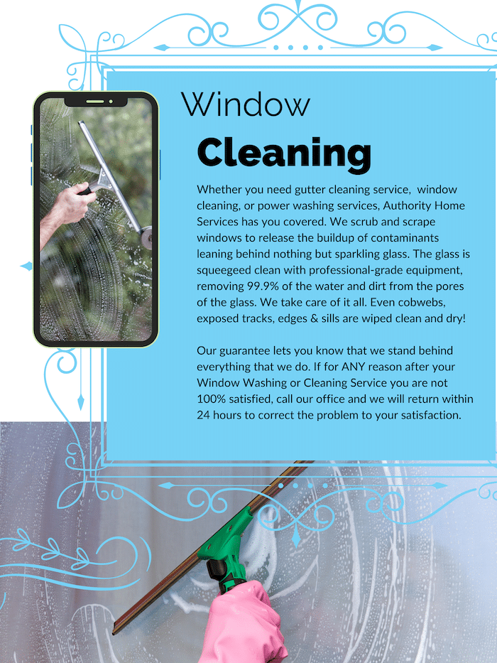 Window Cleaning
