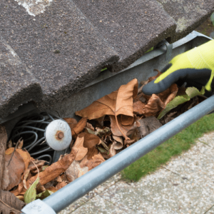 Read more about the article Gutter Cleaning