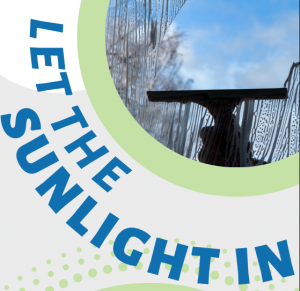 Read more about the article Let the Sunlight In!