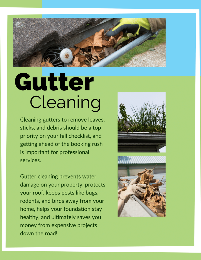 Gutter Cleaning